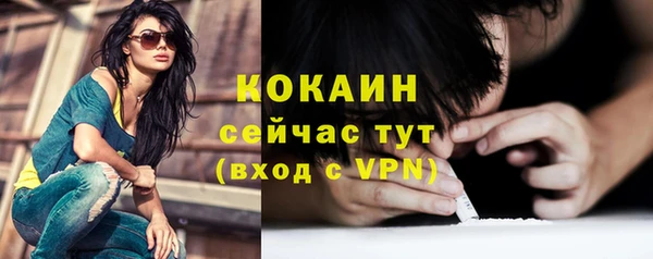 ешки Алексин