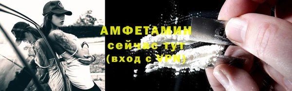 трава Осинники
