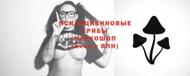 трава Осинники