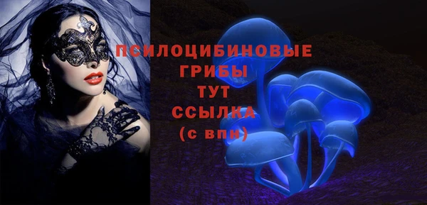 ешки Алексин
