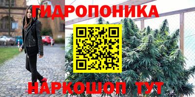 2c-b Партизанск