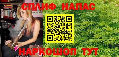 прущие грибы Пенза