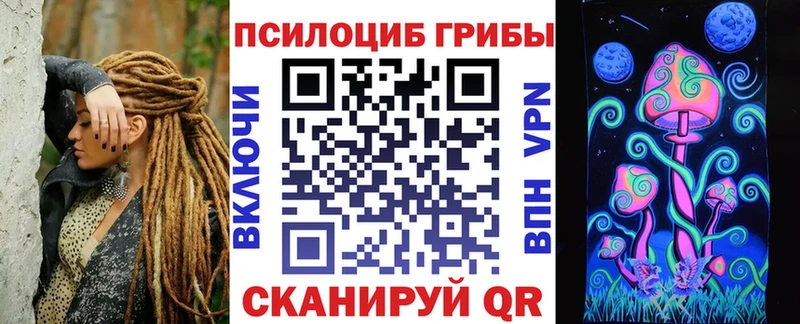 ссылка на мегу зеркало  Сунжа  Псилоцибиновые грибы мицелий 