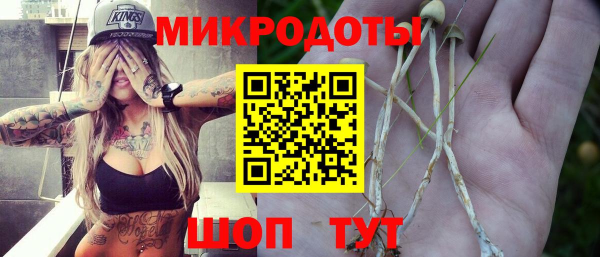 Сунжа  Галлюциногенные грибы Cubensis  Галлюциногенные грибы Psilocybe  Вход с VPN 