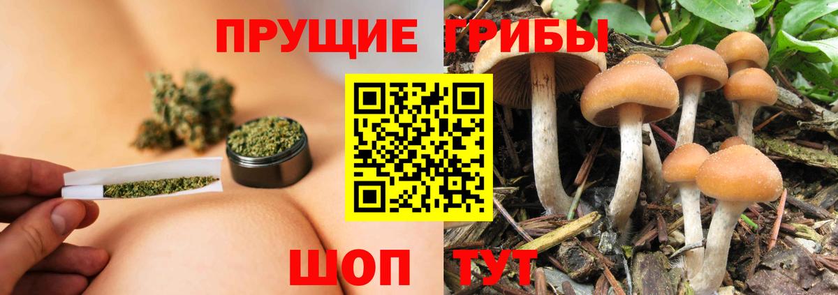 Псилоцибиновые грибы мухоморы Сунжа