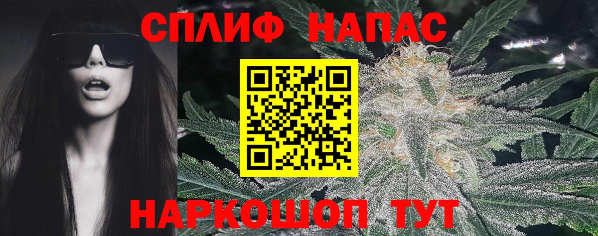 Бошки марихуана семена  Каннабис гибрид  Сунжа  Бошки марихуана VHQ  Вход с VPN 